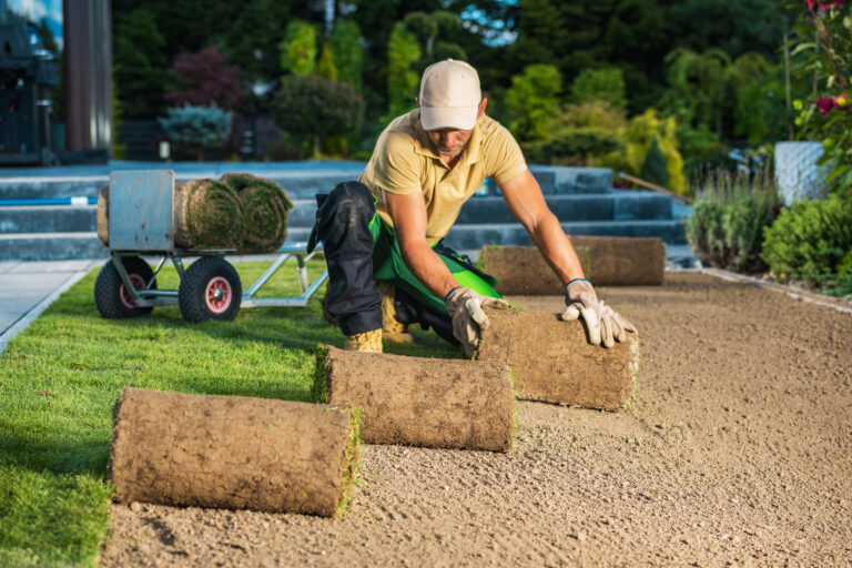 sod installation