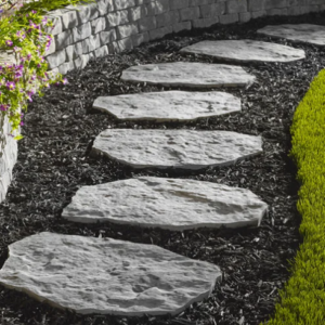 Kendo Stepping Stone