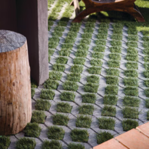 Turfstone